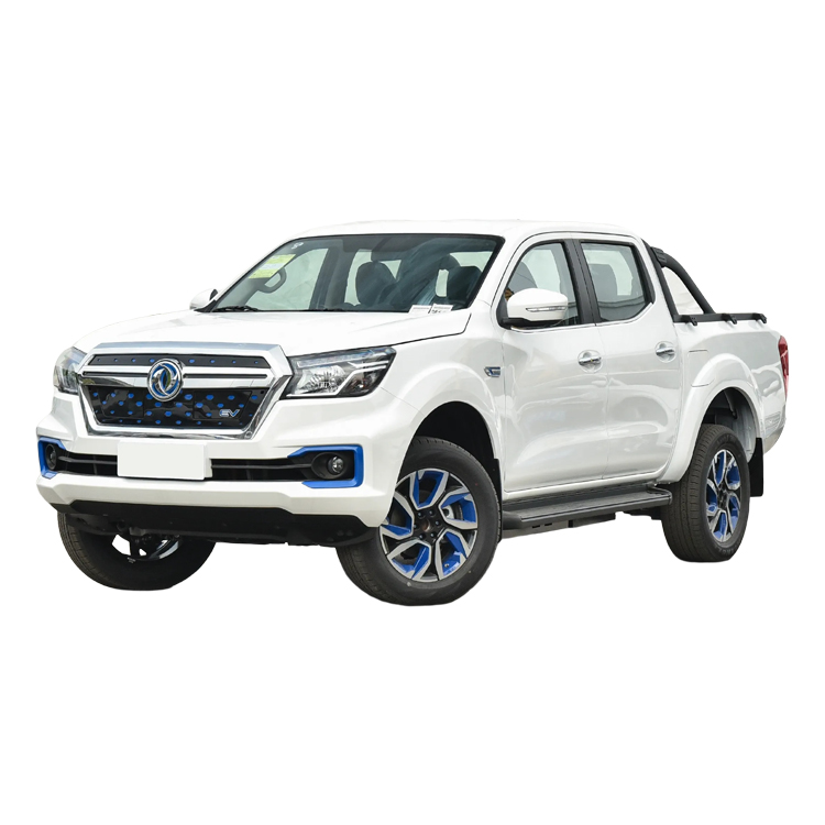 Dongfeng Rich6 EV 4X2 Double Cab Pickup